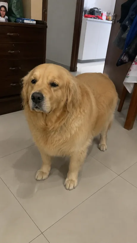 Thor antes
